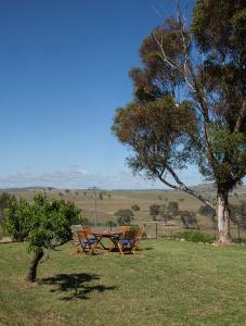 a picnic table and chairs in a field with a tree at Wantana Cottage Farmstay in Boorowa