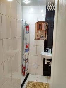 een badkamer met een douche en een wastafel bij Apartment on Virmens'ka Street in Lviv