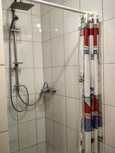 a shower with a shower curtain in a bathroom at Apartment on Virmens'ka Street in Lviv
