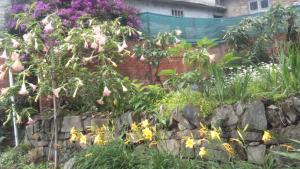 a garden with flowers and a rock wall at Razhu Pru in Kohīma