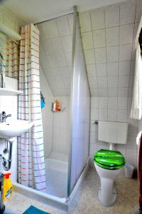 a bathroom with a shower and a toilet with a green seat at Deichoase Piratenhaus in Friedrichskoog