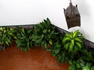 a pair of plants on a balcony with a light at La Posada de Manolo in Toledo