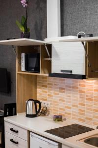 Kuchyň nebo kuchyňský kout v ubytování ANTARES Apart hotel