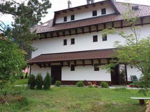 an exterior view of the house at LuFi Penthouse Apartment in Zlatibor