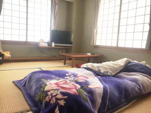 Et tv og/eller underholdning på business ryokan haniwa