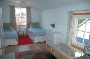 a bedroom with two beds and a window at Mid Wales Arts B&B in Caersws