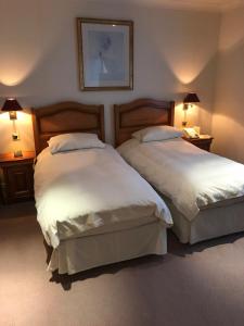 A bed or beds in a room at Regency Hotel 