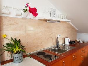 Gallery image of Apartments Herceg Novi in Herceg-Novi