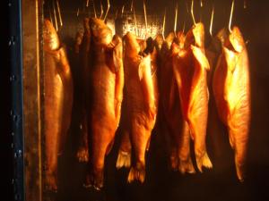 a bunch of fish hanging on a rack at Morska Bryza -Pokoje gościnne na trasie R10 in Darłowo
