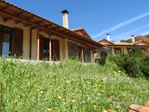 A garden outside Agropoli