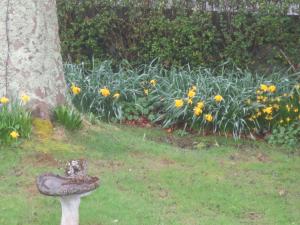 Фотография из галереи St Judes B&B в Голуэе