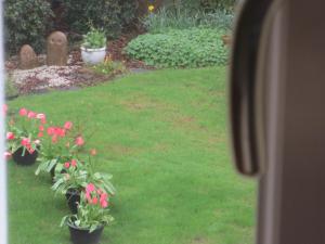 Фотография из галереи St Judes B&B в Голуэе