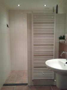 a bathroom with a shower with a sink and a toilet at De Hörst in Rossum