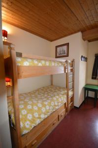 1 Schlafzimmer mit 2 Etagenbetten in einer Hütte in der Unterkunft Studio Room in Celerina