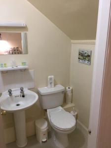 a bathroom with a white toilet and a sink at Loch Shiel Hotel in Acharacle