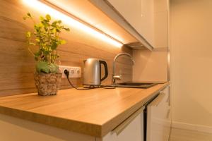 Kuchyň nebo kuchyňský kout v ubytování Apartament Na Urlop - Wisła Kamienna - Apartamenty z widokiem na panoramę Wisły