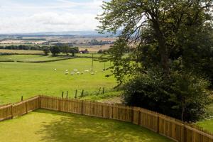 a field with a fence and sheep in the distance at Blairmore Farm in Crieff