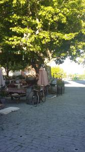 Fotografie z fotogalerie ubytování Le Tournebride v destinaci Solliès-Ville