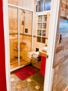 y baño con ducha y alfombra roja. en Apartamento Mirador, en Viña del Mar