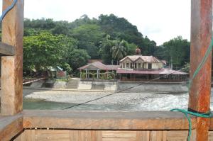 a view of a river from a boat at Fun Family Guest House n Jungle Tour in Bukit Lawang