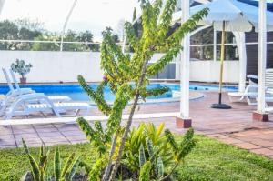Bazén v ubytování Hotel Termal Dayman nebo v jeho okolí