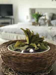 a basket with a plant in it on a table at Ferienwohnung Weserblick-Hameln in Hameln