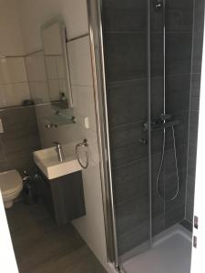 a bathroom with a shower and a sink and a toilet at Ferienwohnung Weserblick-Hameln in Hameln