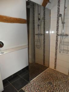 a shower with a glass door in a bathroom at Le Balcon De Leonard in Amboise +26 photos