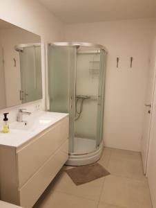 a bathroom with a shower and a sink at Ubak Guesthouse in Reykjavík