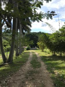 Foto da galeria de Cabañas Maya Rue em Palenque