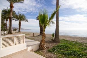 un grupo de palmeras en la playa en Bungalow de Lujo a pie de playa en Aguadulce, en Aguadulce