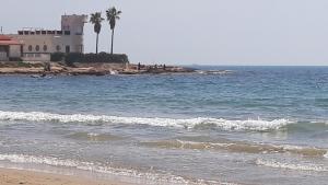 トレビエハにあるTorrevieja Playa Locosのヤシの木と海のあるビーチ