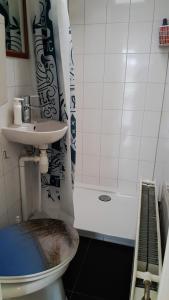 e bagno con servizi igienici, lavandino e doccia. di Corona Laboris a Colijnsplaat