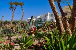 Un jardín fuera de Sallys