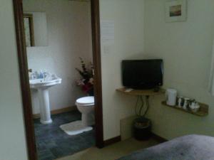 a bathroom with a sink and a television and a toilet at Prince Charlie's Cottage in Gretna Green