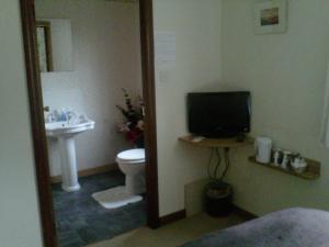 bagno con lavandino, televisione e servizi igienici di Prince Charlie's Cottage a Gretna Green