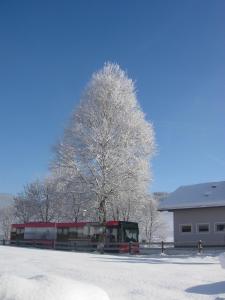 Feriengut Fingerhof v zimě