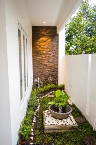 a courtyard with a plant in a pot next to a building at Omah Melati - Vacation Home in Solo