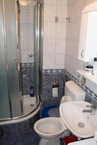 a bathroom with a shower and a toilet and a sink at Calm Apartment in Belgrade