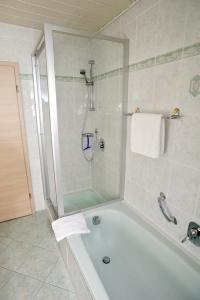 a bathroom with a shower and a bath tub at Ferienwohnungen Lindlhof in Riedenburg