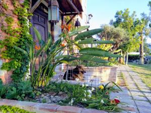 A garden outside La Toscana