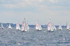 a large group of sailboats in the water at Ferienwohnung Homeyer in Schilksee