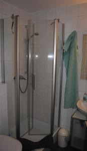 a bathroom with a shower and a toilet and a sink at Ferienwohnung Homeyer in Schilksee