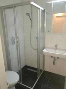 シュトゥットガルトにあるApartment Gablenbergのバスルーム(シャワー、トイレ、シンク付)