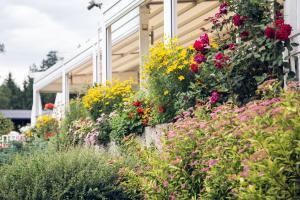 Giardino di Maltschacher Seewirt