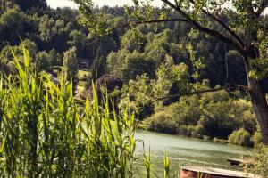 Paesaggio naturale nelle vicinanze dell'appartamento