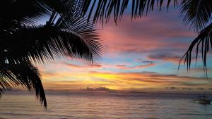 a sunset over the ocean with a palm tree at ARAMARA Resort in Panglao