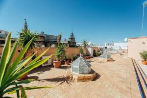 a courtyard with potted plants on a roof at CSE Pajaritos in Seville