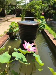 Ein Garten an der Unterkunft Seabirds Bed and Breakfast