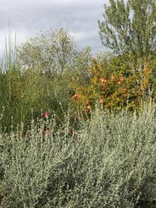 A garden outside Casa Minotti Relais